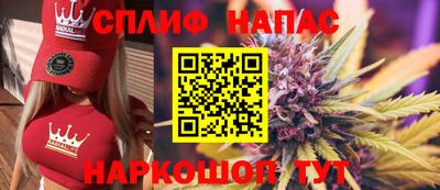 СК Тверь