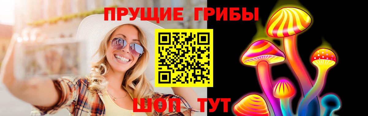Павлово  Псилоцибиновые грибы Magic Shrooms  Вход с VPN 